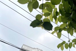 Bán Nhà Mặt Tiền KD Dòng Tiền 130tr.th, 195m2 Gần Vincom Võ Văn Ngân Linh Chiểu Thủ Đức Siêu Ngon
